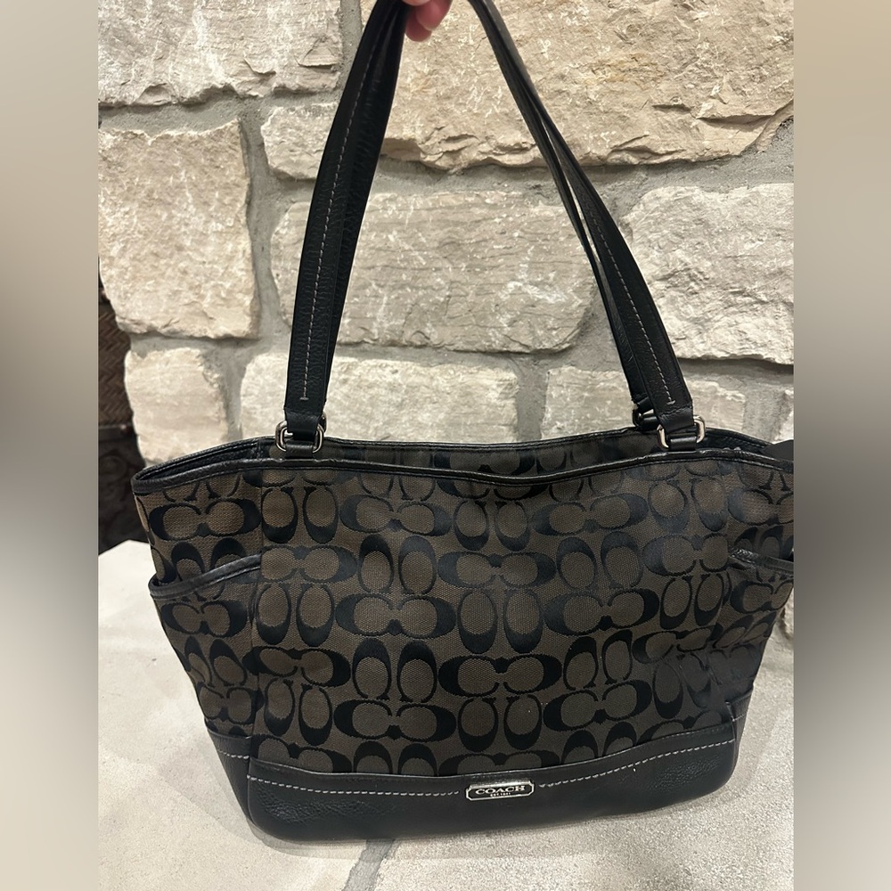 COACH park signature Carrie handbag